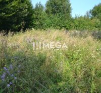 Eine Wiese mit Wildblumen und Gras umgibt Vyšné Ladičkovce mit Blick auf die Wälder.