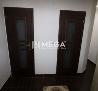 Innenraum einer 3-Zimmer-Wohnung mit Einbauschränken und dunklen Türen.