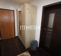 Flur mit einem Garderobenschrank und einem Boden mit Holzdekor in einer 3-Zimmer-Wohnung.