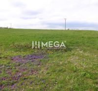 Grundstücke - Wohnen in der Brestovská-Straße in Humenné, grüne Wiese mit Blumen und Stromleitungen.