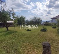 Garten beim Einfamilienhaus in der Siedlung Poľana in Humenné mit Obstbäumen und Rasen.