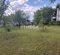 Ein Garten bei einem Einfamilienhaus im Wohngebiet Poľana in Humenné mit Obstbäumen.
