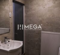Badezimmer mit Dusche, Waschbecken und Heizkörper, ideal für Hotels und Pensionen.