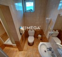 Kúpeľňa s WC, sprchou, umývadlom a fénom v Hoteloch a penziónoch.

Badezimmer mit WC, Dusche, Waschbecken und Föhn in Hotels und Pensionen.