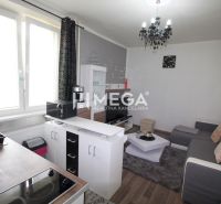 Wohnzimmer mit Küche im Ferienapartment, Boden mit Holzdekor, graues Sofa.