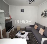 Wohnzimmer der Ferienwohnung mit grauem Sofa, Fernseher und Boden in Holzoptik.
