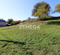 Grünes, hügeliges Grundstück für Wohnzwecke in Vyšné Ladičkovce mit Blick auf ein Haus und Bäume.