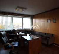 Büro mit Holzeinrichtung, Schreibtisch, Sessel und Sofa, Pinnwand mit Dokumenten.