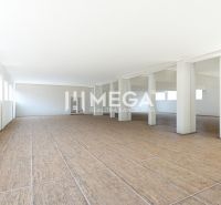 Geräumige Geschäftsräume mit Holzboden und weißen Wänden.