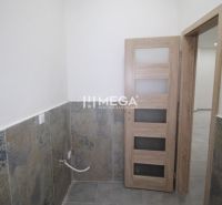 Gewerberäume mit gefliester Wand und Holztüren.