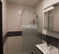 Badezimmer mit begehbarer Dusche und Holzelementen in einer 2-Zimmer-Wohnung.