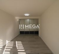 Ein Zimmer in einer 2-Zimmer-Wohnung mit einem Boden in Holzoptik und einem Einbauschrank.