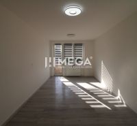 Geräumiges Zimmer in einer 2-Zimmer-Wohnung mit Holzboden und großem Fenster.