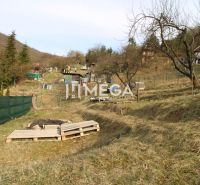 Gärten in der Straße ZO Poniklec in Humenné mit mehreren Bäumen und Holzpaletten.