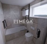 Badezimmer mit Badewanne und Fenster bietet Blick auf die Landschaft. Einfamilienhaus.