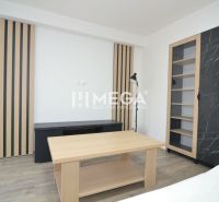 Wohnzimmer in einer 3-Zimmer-Wohnung mit Regalen und einem Boden in Holzoptik.