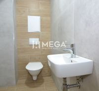 Toilette mit einem einfachen Waschbecken und Wänden in Holzdekor in einer 3-Zimmer-Wohnung.