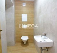 Badezimmer in einer 2-Zimmer-Wohnung mit Toilette, Holzboden und Waschbecken.