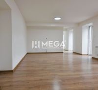 Ein geräumiges Zimmer mit hellen Wänden und einem Boden in Holzoptik in einer 2-Zimmer-Wohnung.
