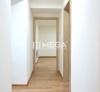 Der Flur in einer 2-Zimmer-Wohnung mit einem Boden in Holzoptik und weißen Wänden.