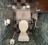 Toilette mit Fliesen in einem Einfamilienhaus mit Wandstauraum.