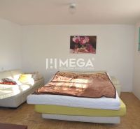 Ein Zimmer in einem Einfamilienhaus mit einem Sofa, einem Bett und einem Boden in Holzoptik.