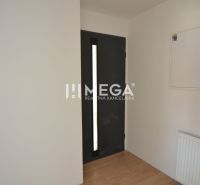 Eingangsflur in einer 2-Zimmer-Wohnung mit Holzboden und schwarzen Türen.