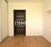 Ein Zimmer in einem Einfamilienhaus mit einem Boden in Holzoptik und einem Schrank.