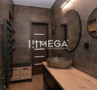 Badezimmerinterieur in einem Einfamilienhaus mit Spiegel, Waschbecken und Boden mit Holzdekor.