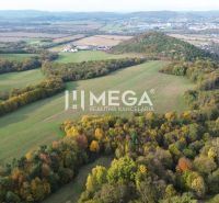 Luftaufnahme von ungewöhnlichen Immobilien mit Wäldern und Feldern in Jasenov.