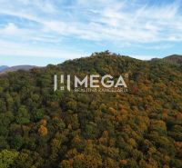 Ein Blick auf die bewaldeten Hügel und die Burgruine in Jasenov bei den Besonderen Immobilien.