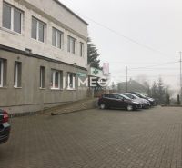 Ein Gebäude in der SNP-Straße in Snina mit einem Parkplatz vor dem Objekt und geparkten Autos.