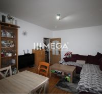 Wohnzimmer in einer 2-Zimmer-Wohnung mit Ausstattung und Boden in Holzoptik.