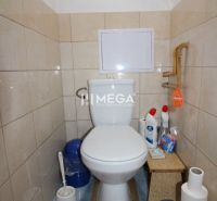 Toilette mit Fliesen in einer 3-Zimmer-Wohnung, ergänzt mit Reinigungsmitteln und Toilettenpapier.