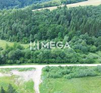 Wiesen und Wälder in der Nähe der Danová-Straße, Medzilaborce, ideal für Grundstücke - Wohnen.