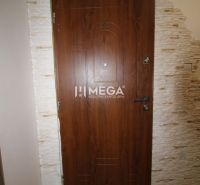 Eingangstür aus Holz in einer 3-Zimmer-Wohnung mit einer Verkleidung aus hellem Stein.