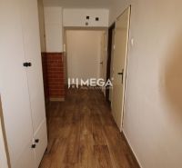 Der Flur in der 2-Zimmer-Wohnung mit einem Boden in Holzoptik und einem Einbauschrank.
