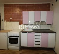 Küche in einer 2-Zimmer-Wohnung mit rosa Schränken und einem Boden in Holzoptik.