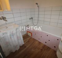 Badezimmer in einer 2-Zimmer-Wohnung mit Badewanne, Waschbecken und Boden mit Holzdekor.