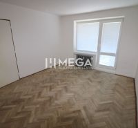Ein Zimmer mit Fenster und Holzboden in einer Zweizimmerwohnung.