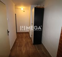 Der Flur in der 2-Zimmer-Wohnung mit einem Boden in Holzoptik und einem Schrank.