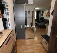 Flur in einer 2-Zimmer-Wohnung mit Holzboden und Einbauschrank.