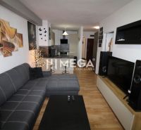 Wohnzimmer in einer 2-Zimmer-Wohnung mit Ecksofa und Boden in Holzoptik.