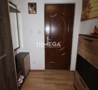 Der Flur in der 2-Zimmer-Wohnung mit einem Boden in Holzoptik und dunklen Möbeln.