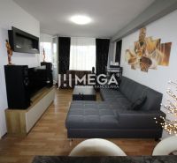 Wohnzimmer in einer Zweizimmerwohnung mit Holzboden und grauem Sofa.