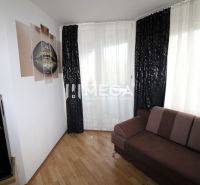 Wohnzimmer in einer 2-Zimmer-Wohnung mit dunklem Sofa, Lautsprecher und Boden in Holzoptik.