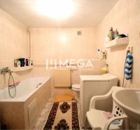 Ein Badezimmer in einem Einfamilienhaus mit einer Badewanne, einem Waschbecken, einer Waschmaschine und Regalen an der Wand.