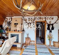 Innenraum einer Hütte mit Kaminverkleidung, Jagdtrophäen und einem Boden mit Holzdekor.