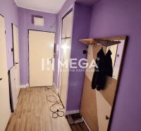 Lila Wände im Flur einer 2-Zimmer-Wohnung, Eingangstür, Boden mit Holzdekor.