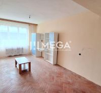 Geräumiges Zimmer, helle Wände, Boden mit Holzdekor, Möbel in einer 2-Zimmer-Wohnung.